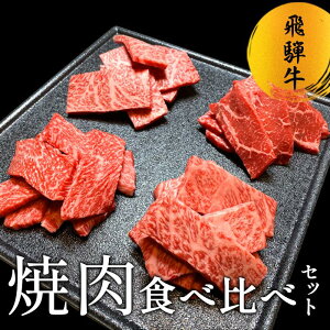 ˋ A5 ē 4 Hה Zbg BBQ o[xL[ Ă Mtg Hi