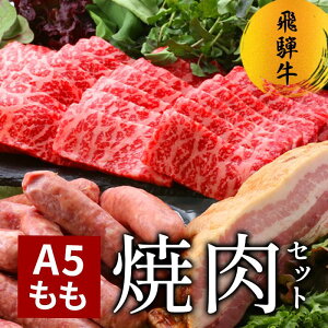 ˋ A5  ē Zbg BBQ o[xL[ Ă Mtg Hi