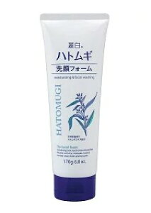 yVizF@픒@ngM@tH[ 170g ܂Ƃߔ×48Zbg