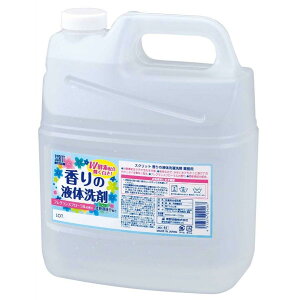 yViz F XNbg ̉t̐ l֗p 4L×4{