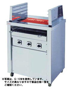 yzؓd@@X^h^@dCO[ (ʏ) 3i1iĒIt rt G-21W