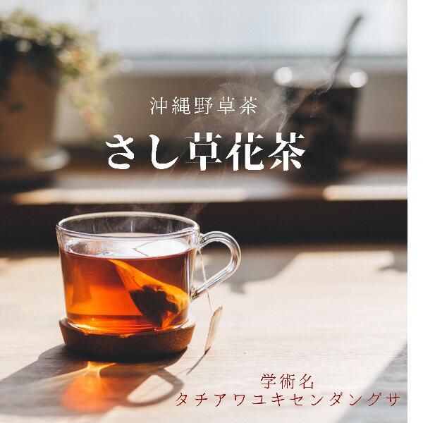 さまざまな研究結果で今話題の沖縄自生のハーブのちから さし草 花茶（ティーバック15包）沖縄自生・地産のハーブ茶 栄養成分豊富な至高の健康茶