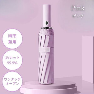 ܂肽ݎP J JP ^b`  Jp UVJbg Y fB[X P H x 12{ ܂ݎ ܂ݎP܂肽ݎP P X|[cϐ J 傫 UVJb