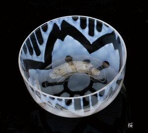 吳QɎq@w @(\EグE)x@AcɎq@{