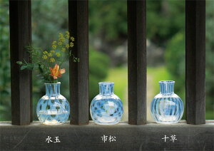 吳QɎq@Ԋw֑} x@AcɎq@{