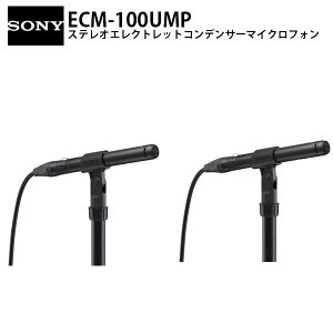 SONY ECM-100UMP �n�C���] �P��w���� �G���N�g���b�g�R���f���T�[�}�C�N���z�� �X�e���I�y�A�Z�b�g # ECM-100UMP �\�j�[ (�}�C�N���z�� XLR)