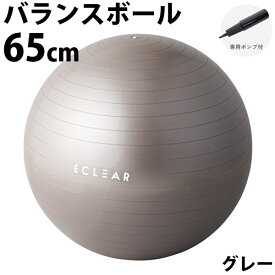 ELECOM エレコム エクリアスポーツ バランスボール 65cm グレー # HCF-BB65GY エレコム (生活雑貨) スポーツ器具