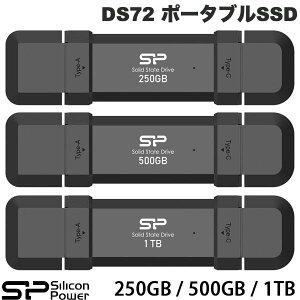SiliconPower DS72 USB Type-A & USB Type-C 3.2 Gen 2 VRp[ (OtSSD)