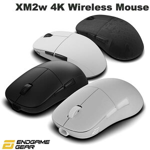 Q[~O}EX  L CX TCh{^ ENDGAME GEAR XM2w 4K Wireless Gaming Mouse  / L 4Kf GhQ[MA (}EX)
