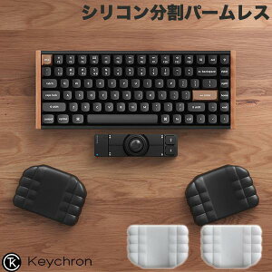 �y8��28�������\��z Keychron �V���R�������p�[�����X�g �L�[�N���� (���X�g���X�g) Nape Pro�g�p���Ɏg���₷�����X�g���X�g �_�炩��