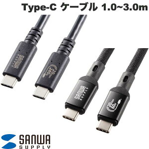 SANWA USB20Gbps USB4 Gen2x2 Type-C P[u PDΉ ( USB-C P[u)