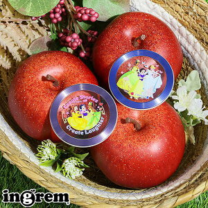 ^O MagSafeΉ fBYj[ vZX Vf P Ɩb ingrem fBYj[ magness ^O XebJ[ P CO