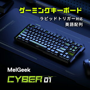 Q[~OL[{[h sbhgK[  L MelGeek Cyber01 pz L sbhgK[Ή eL[X 83L[ Q[~OL[{[h M[N CXCb`@}OleBbNX