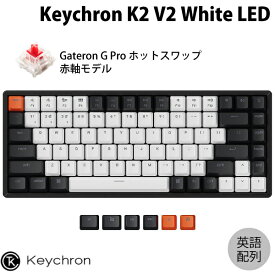 Keychron K2 V2 Mac英語配列 有線 / Bluetooth 5.1 ワイヤレス 両対応 テンキーレス ホットスワップ Gateron G Pro 赤軸 84キー WHITE LEDライト メカニカルキーボード # K2-A1H-US キークロン (Bluetoothキーボード)