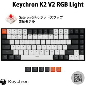 Keychron K2 V2 Mac英語配列 有線 / Bluetooth 5.1 ワイヤレス 両対応 テンキーレス ホットスワップ Gateron G Pro 赤軸 84キー RGBライト メカニカルキーボード # K2-C1H-US キークロン (Bluetoothキーボード) 【国内正規品】
