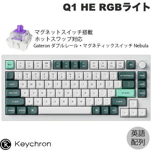 Keychron Q1 HE }OlbgXCb` QMK VFzCg Macpz L / Bluetooth 5.1 / 2.4GHz CX Ή eL[X zbgXbv Gateron _u[E}OleBbNXCb` Neb