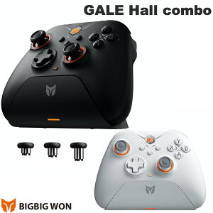 BIGBIG WON GALE Hall combo  / L Q[~ORg[[ CVSwitch & Windows10 / iOS / AndroidΉ rbOrbOEH (Q[pbh)