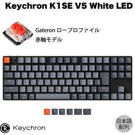 Keychron K1 SE V5 Mac日本語配列 有線 / Bluetooth 5.1 ワイヤレス 両対応 テンキーレス ロープロファイル Gateron 赤軸 91キー White LEDライト メカニカルキーボード # K1SE-A1-JIS キークロン 【国内正規品】