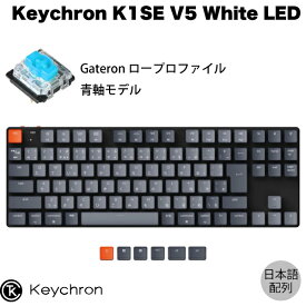 Keychron K1 SE V5 Mac日本語配列 有線 / Bluetooth 5.1 ワイヤレス 両対応 テンキーレス ロープロファイル Gateron 青軸 91キー White LEDライト メカニカルキーボード # K1SE-A2-JIS キークロン 【国内正規品】
