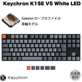 Keychron K1 SE V5 Mac日本語配列 有線 / Bluetooth 5.1 ワイヤレス 両対応 テンキーレス ロープロファイル Gateron 茶軸 91キー White LEDライト メカニカルキーボード # K1SE-A3-JIS キークロン 【国内正規品】