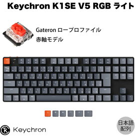 Keychron K1 SE V5 Mac日本語配列 有線 / Bluetooth 5.1 ワイヤレス 両対応 テンキーレス ロープロファイル Gateron 赤軸 91キー RGBライト メカニカルキーボード # K1SE-B1-JIS キークロン (Bluetoothキーボード)