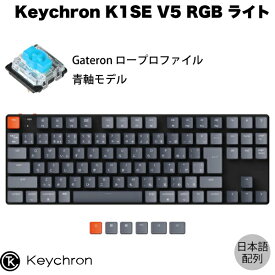 【あす楽】 Keychron K1 SE V5 Mac日本語配列 有線 / Bluetooth 5.1 ワイヤレス 両対応 テンキーレス ロープロファイル Gateron 青軸 91キー RGBライト メカニカルキーボード # K1SE-B2-JIS キークロン (Bluetoothキーボード)