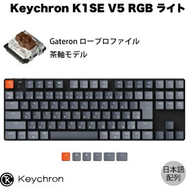 Keychron K1 SE V5 Mac日本語配列 有線 / Bluetooth 5.1 ワイヤレス 両対応 テンキーレス ロープロファイル Gateron 茶軸 91キー RGBライト メカニカルキーボード # K1SE-B3-JIS キークロン (Bluetoothキーボード)