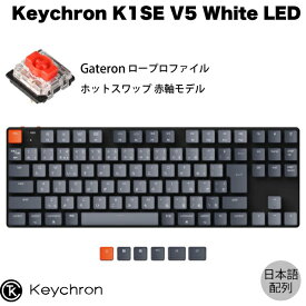 Keychron K1 SE V5 Mac日本語配列 有線 / Bluetooth 5.1 ワイヤレス 両対応 テンキーレス ロープロファイル ホットスワップ Gateron 赤軸 91キー White LEDライト メカニカルキーボード # K1SE-G1-JIS キークロン
