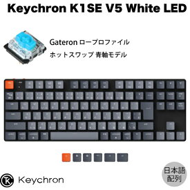 Keychron K1 SE V5 Mac日本語配列 有線 / Bluetooth 5.1 ワイヤレス 両対応 テンキーレス ロープロファイル ホットスワップ Gateron 青軸 91キー White LEDライト メカニカルキーボード # K1SE-G2-JIS キークロン