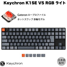 【あす楽】 Keychron K1 SE V5 Mac日本語配列 有線 / Bluetooth 5.1 ワイヤレス 両対応 テンキーレス ロープロファイル ホットスワップ Gateron 赤軸 91キー RGBライト メカニカルキーボード # K1SE-H1-JIS キークロン