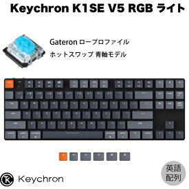 Keychron K1 SE V5 Mac英語配列 有線 / Bluetooth 5.1 ワイヤレス 両対応 テンキーレス ロープロファイル ホットスワップ Gateron 青軸 87キー RGBライト メカニカルキーボード # K1SE-H2-US キークロン 【国内正規品】