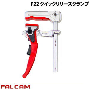 FALCAM F22 NCbN[XNv # FC3139 t@J (NCbNV[)