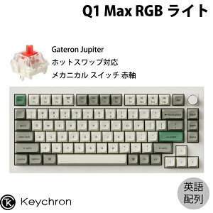 Keychron Q1 Max QMK/VIA VFzCg Macpz L / Bluetooth 5.1 / 2.4GHz CX Ή eL[X zbgXbv Gateron Jupiter Ԏ RGBCg JX^JjJL[{[h muo[W