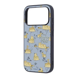 ingrem iPhone 17 Pro fBYj[ maru Ռz op[ nCubhP[X v[ƒԒB_ # IC-DP53K4TB/PO60 CO (X}zP[XEJo[) 2025