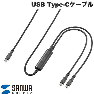 SANWA USB Type-C�P�[�u�� �}���[�d PD100W 2-in-1 2�䓯���[�d �f�[�^�ʐM ��� �V���R���P�[�u�� �P�[�u���^�C�t�� 1.2m �u���b�N # KU-CCP100D12BK �T�����T�v���C (USB C - USB C �P�[�u��)