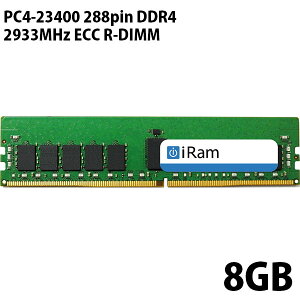 iRam PC4-23400 288pin DDR4 2933MHz ECC R-DIMM 8GB # IR8GMP2933D4R AC (Mac)