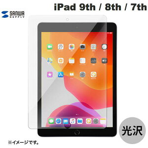 SANWA iPad 9th / 8th / 7th �t���ی십���K���X�t�B���� # LCD-IPAD102G �T�����T�v���C (�^�u���b�g�p�t���ی�K���X�t�B����)