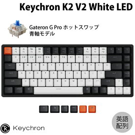 【あす楽】 Keychron K2 V2 Mac英語配列 有線 / Bluetooth 5.1 ワイヤレス 両対応 テンキーレス ホットスワップ Gateron G Pro 青軸 84キー WHITE LEDライト メカニカルキーボード # K2-A2H-US キークロン US配列 kws23