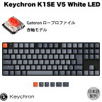 Keychron K1 SE V5 Mac日本語配列 有線 / Bluetooth 5.1 ワイヤレス 両対応 テンキーレス ロープロファイル Gateron 赤軸 91キー White LEDライト メカニカルキーボード # K1SE-A1-JIS キークロン (Bluetoothキーボード) JIS配列
