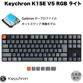【あす楽】 Keychron K1 SE V5 Mac日本語配列 有線 / Bluetooth 5.1 ワイヤレス 両対応 テンキーレス ロープロファイル ホットスワップ Gateron 青軸 91キー RGBライト メカニカルキーボード # K1SE-H2-JIS キークロン JIS