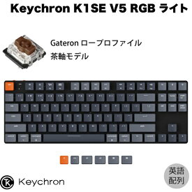 Keychron K1 SE V5 Mac英語配列 有線 / Bluetooth 5.1 ワイヤレス 両対応 テンキーレス ロープロファイル Gateron 茶軸 87キー RGBライト メカニカルキーボード # K1SE-B3-US キークロン (Bluetoothキーボード) US配列