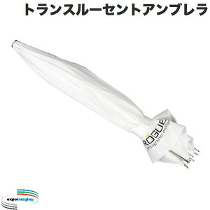 Expoimaging ROGUE 32�C���` �g�����X���[�Z���g�A���u���� # �G�L�X�|�C���[�W���O (�J�����A�N�Z�T���[)