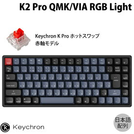 Keychron K2 Pro QMK/VIA Mac日本語配列 有線 / Bluetooth 5.1 ワイヤレス 両対応 テンキーレス ホットスワップ Keychron K Pro 赤軸 87キー RGBライト メカニカルキーボード # K2P-J1-JIS キークロン (Bluetoothキーボード)