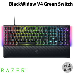 yKiz Razer BlackWidow V4 Green Switch pz Ύ L fBAL[/[[}NL[ JjJ Q[~OL[{[h # RZ03-04690100-R3M1 [U[ (L[{[h) ubNEC