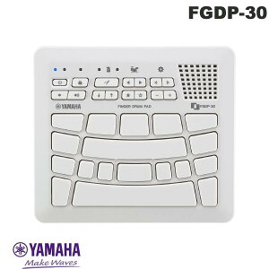 y}\500~OFFN[|Ώہz YAMAHA FGDP-30 tBK[hpbh 18pbh zCg # FGDP-30 }n (R[fBO@)