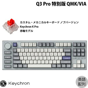 yX[p[SALE500~OFFN[|Ώہz Keychron Q3 Pro ʔ QMK/VIA Vo[O[ Macpz L / Bluetooth 5.1 CX Ή eL[X zbgXbv Keychron K Pro Ԏ RGBCg JX