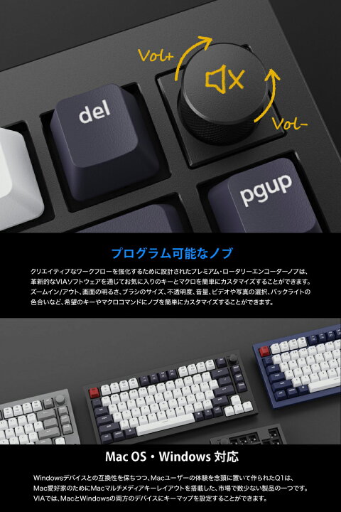 楽天市場】［在庫限り］ Keychron Q1 V2 QMK ネイビーブルー Mac英語 