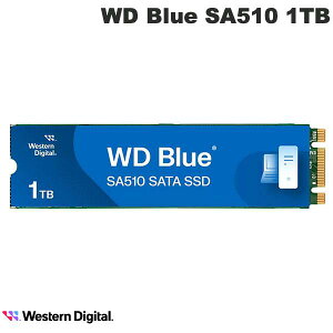 Western Digital 1TB WD Blue SA510 SATA SSD M.2 2280 # WDS100T3B0B EGX^fW^ (p\RӋ@)