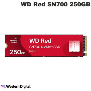 Western Digital 250GB WD Red SN700 NVMe SSD M.2 2280 S3-M # WDS250G1R0C EGX^fW^ (SSD)
