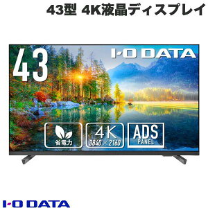 [^i] IO Data 43^ 4KtfBXvC 3Ӄt[X (̈42.5^) # LCD-U431DX ACIf[^ (fBXvCEj^[)
